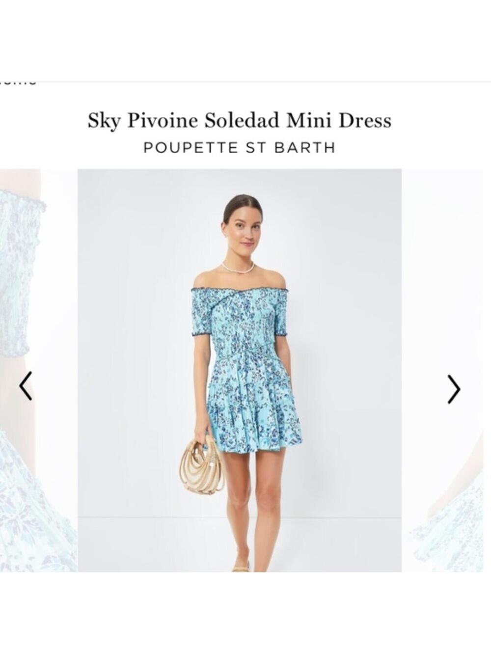 POUPETTE ST BARTH Sky Pivoine Soledad Dress size small
